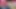 Solo masturbation (135)