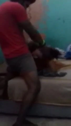 Suck cock
