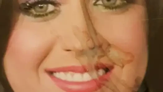 cumtribute katy perry