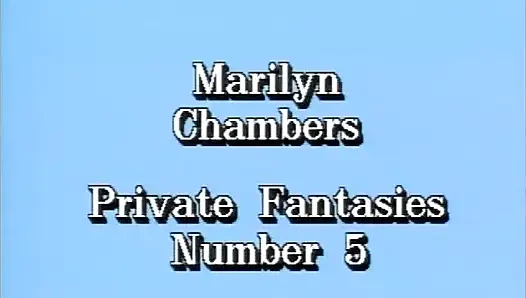 Klassische Porno-Dvds: Marilyn Chambers privates Video