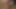 Cewek imut menyukainya saat dia mengisap kontol besar pejantan sange