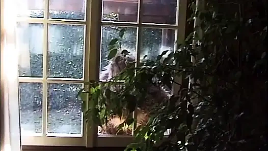 Büyük dörtlü çifte sikiş anal parti