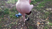Pregled videozapisa