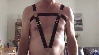Harness for Master