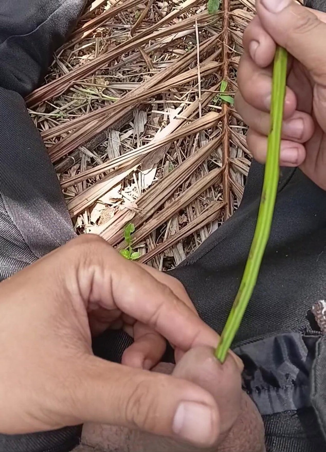 Natural from nature