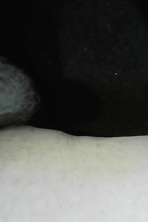 精子弧线, 素人独奏, 喷泉