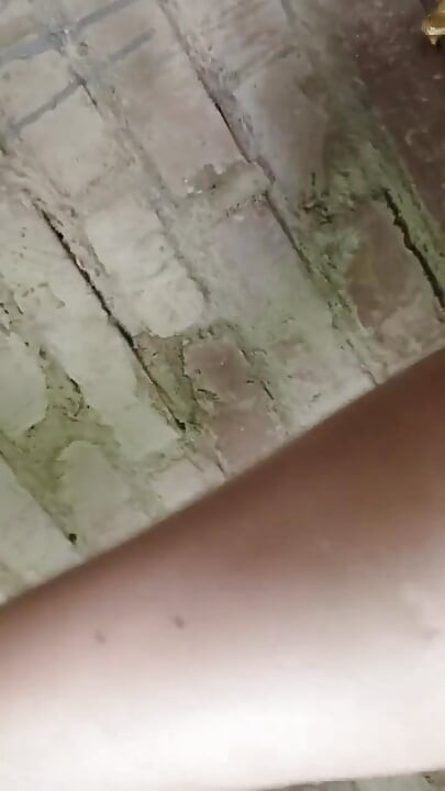 কিং পিছন থেকে পছন্দ করে