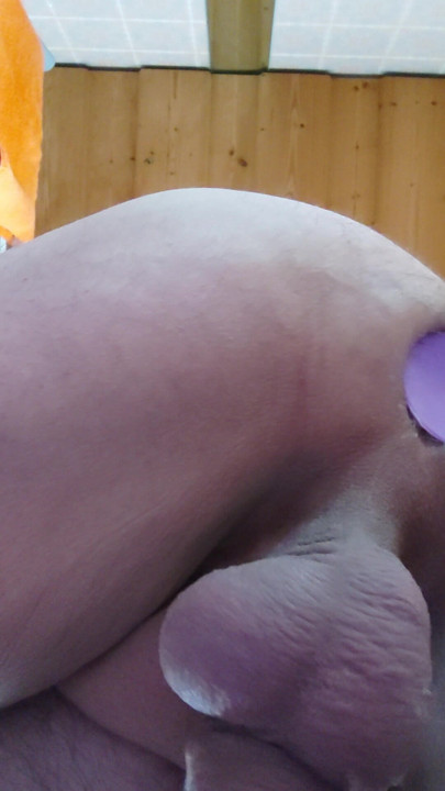 Anal pampered