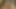 プールサイドの淫乱熟女アナル