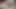 Wife confesses cheating to her husband for the second time, husband ends up liking it and cums in his mouth