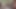 DrncmクラシックDp 128