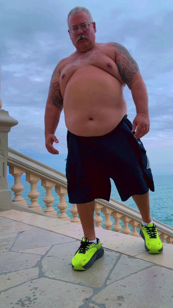 Pregled videozapisa