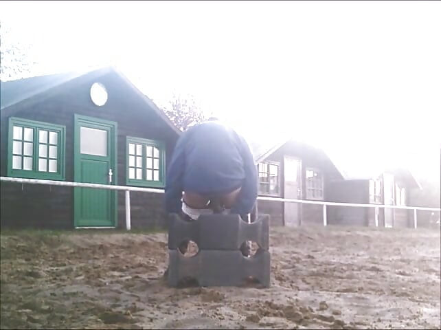 Dildo on the riding pad