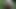 屋外でクソドイツのカップル