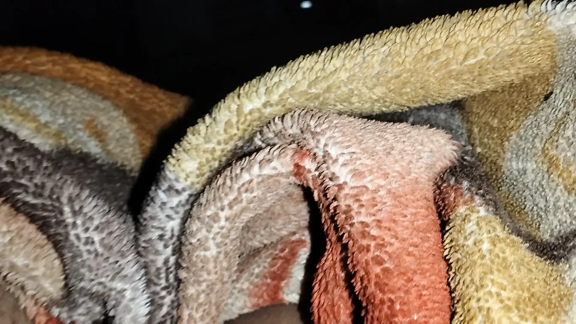 Homemade,big natural tits,high heels