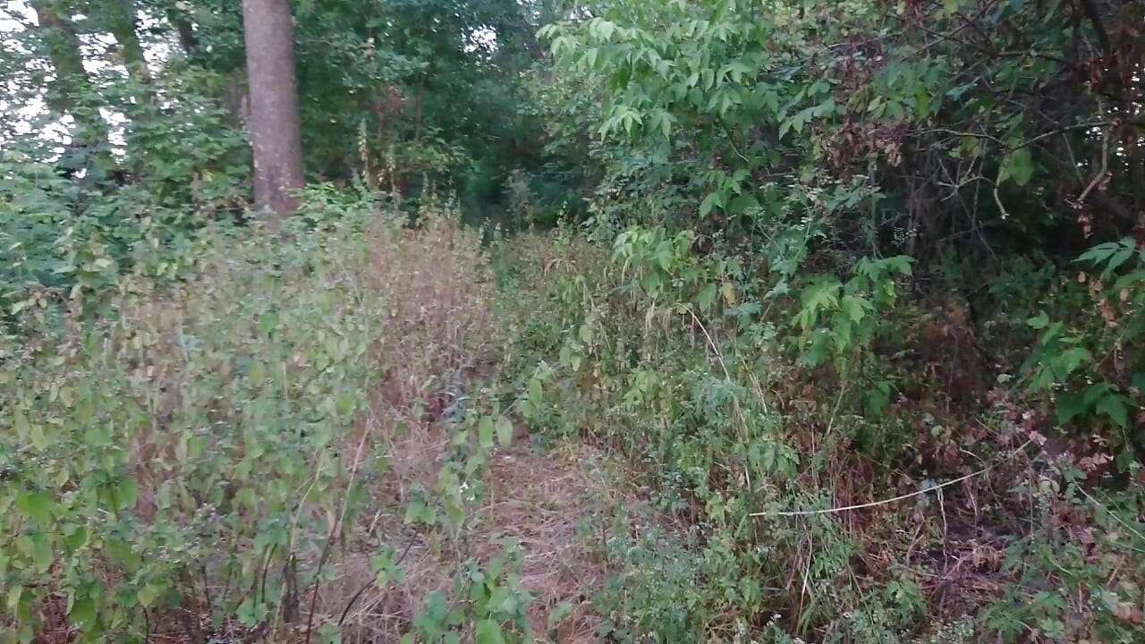Naked Guy Morning Jerk Off in the Tree Line