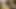 BBW Wife Bunny De La Cruz Handles Big Black Dick With Hubby Watching