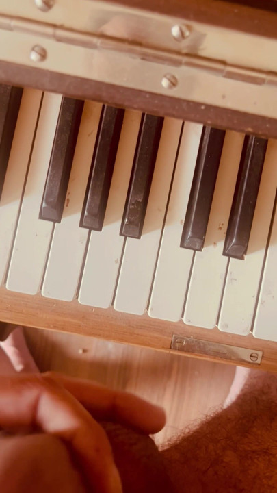 Dad found the piano and slammed his penis against it
What should I break next?