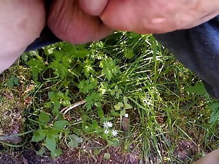 El abuelo se masturba en un banco en el bosque