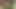 Seks videosu hd desi yenge Hintli