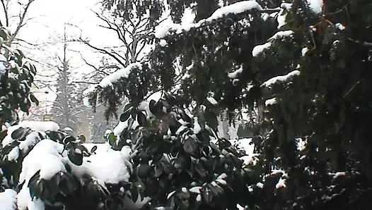 Трахни меня сейчас