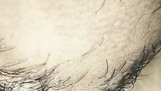 Bengalische Krawattenlecken