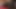 アジアンラテックスの楽しみ