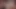 O sağımcılar porno için yaratılmış
