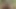 Tokat ve tükürme kadın egemenliği