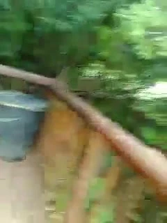 jjerking 11