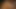 Marley brinx kedi parmak pov