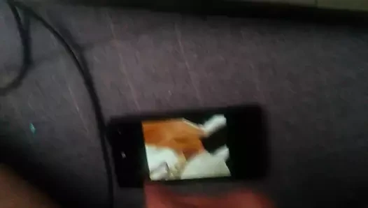 Lolamilf6666'ya övgü