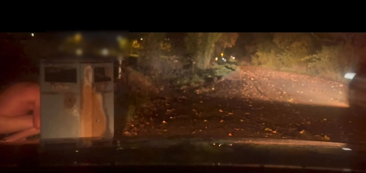 Uhvaćena gola vani taksijem, gola i bosa