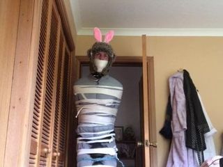 Un lapin bondage fait vibrer