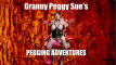 Pregled videozapisa