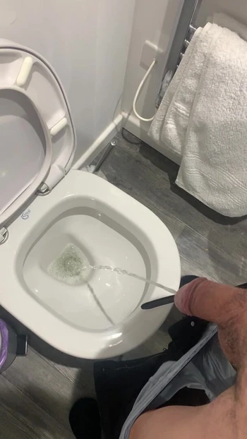 Pissing in the toilet on holiday