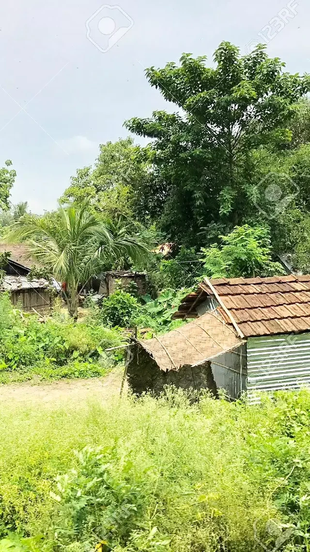 Desi Village Jungle Mein Tapa Tap Desi Bhabhi