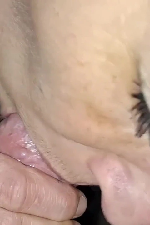 口交非常接近地吮吸鸡巴 第一人称视角