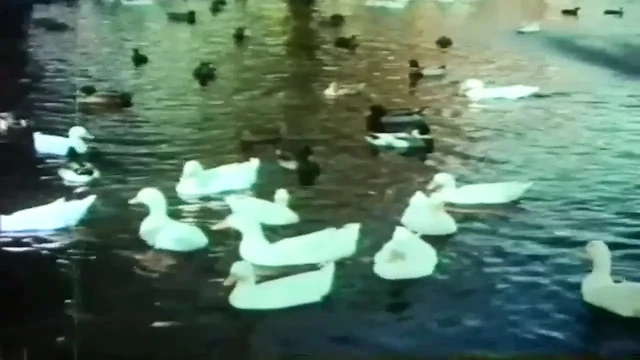 That's So 70s