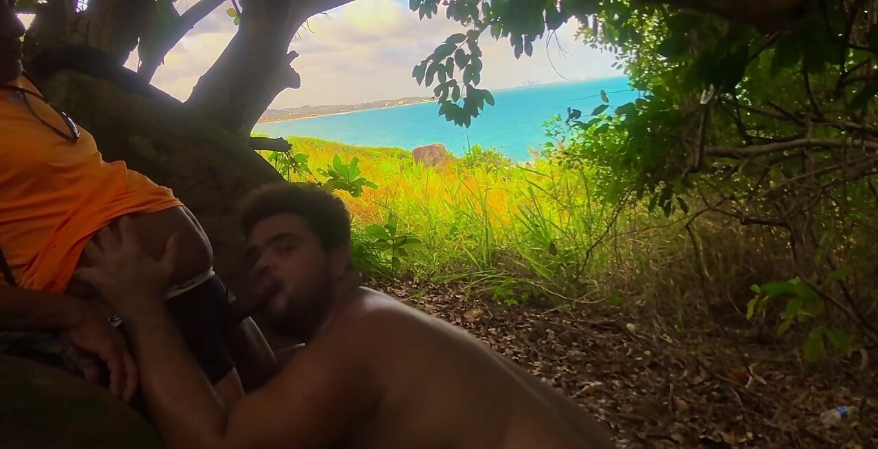 Chubby Gay Sucking or Stranger on the Beach