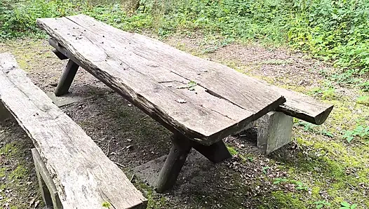 Cambukan pantat, toket, dan memek di area barbekcue