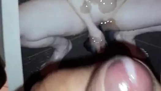 minipimmelchen'in karısına haraç