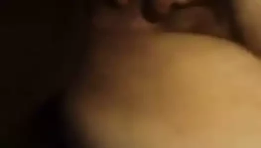Siyah kahrolası Brezilya ayı