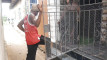 Pratinjau video