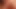Marokkanisches Mädchen, Live-Masturbation