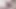 Masturbation Of A Big Fat Cock In An Erection Ring Close-Up