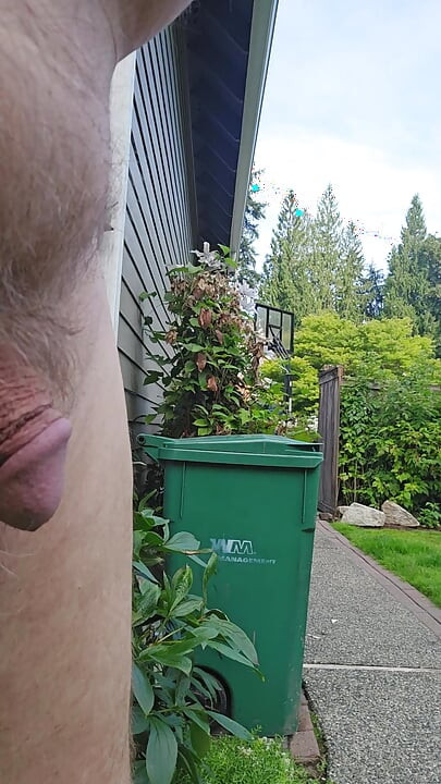 More Cum In Yogurt