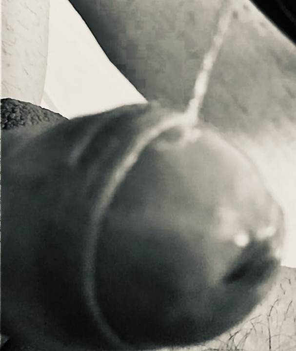 Acorn umedă