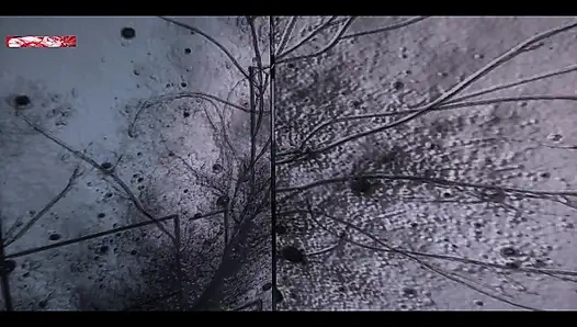 3D Desire Engine: Goddess Girl Unleashed- 3D Animation Hentai