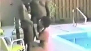 Corno arquivo - vídeo vingage da minha esposa com 2 touros negros